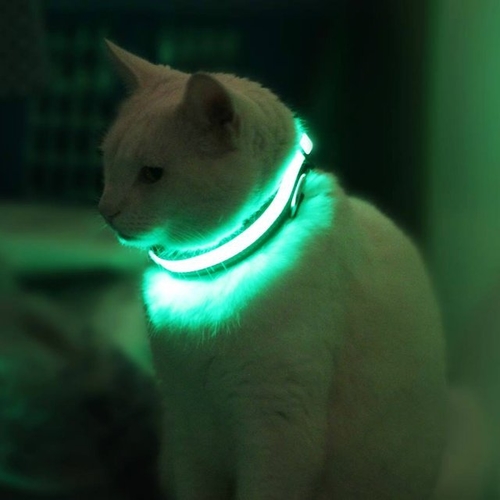 LED Illuminated Pet Leash – Safety for Night Walks